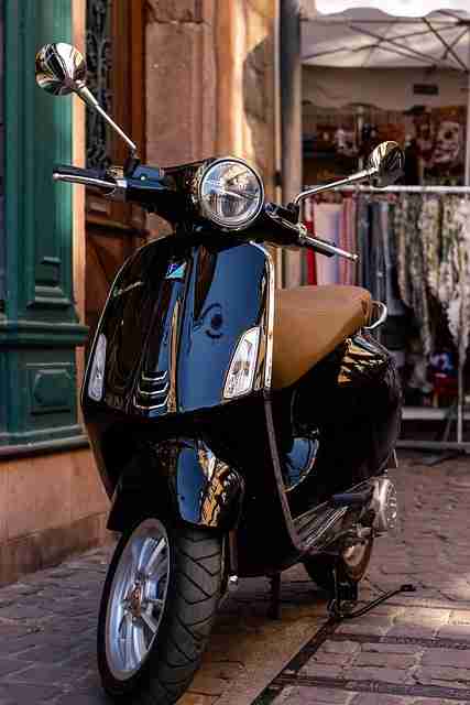 蘑菇视频下载站内标签功能解读｜创作者激励机制更懂你的口味