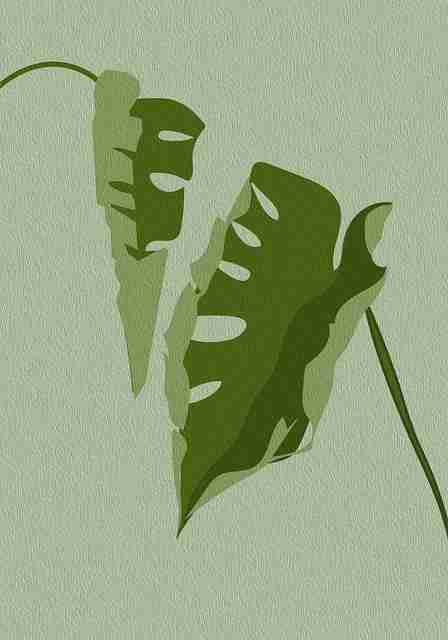 妻社网页版热度飙升｜私密访谈实录内容持续霸榜