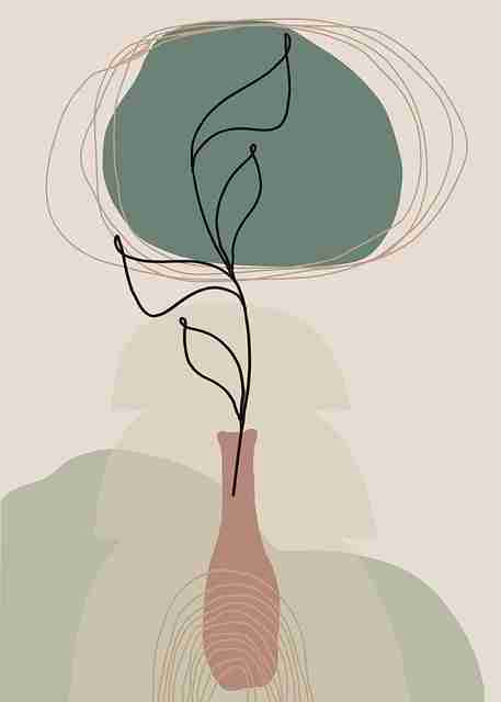 蘑菇视频电脑版应用功能升级｜下载引导教程版本更新内容揭秘