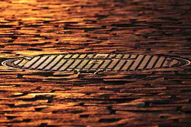 蘑菇影视官网使用攻略｜轻松掌握影视标签系统的所有功能