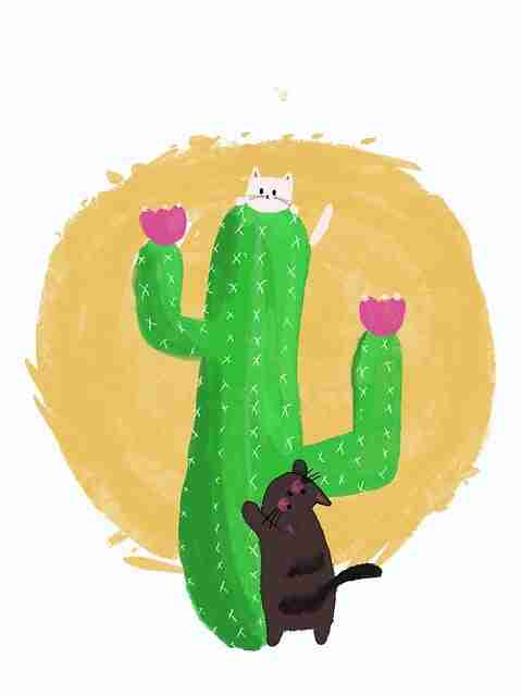 妻社故事走心｜边界试探记录传递真实温度